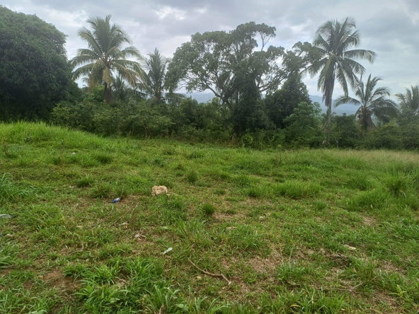 Ninth image of York Street, Wallens, Lin in Linstead, St. Catherine, Jamaica - property is For Sale
