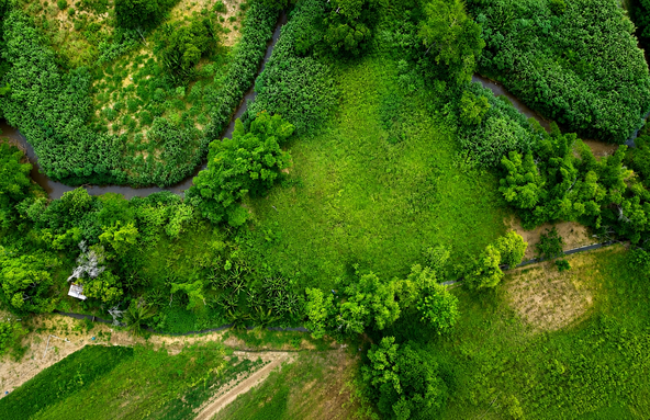 First image of Bushy Park St. Catherine in Bushy Park, St. Catherine, Jamaica - property is For Sale