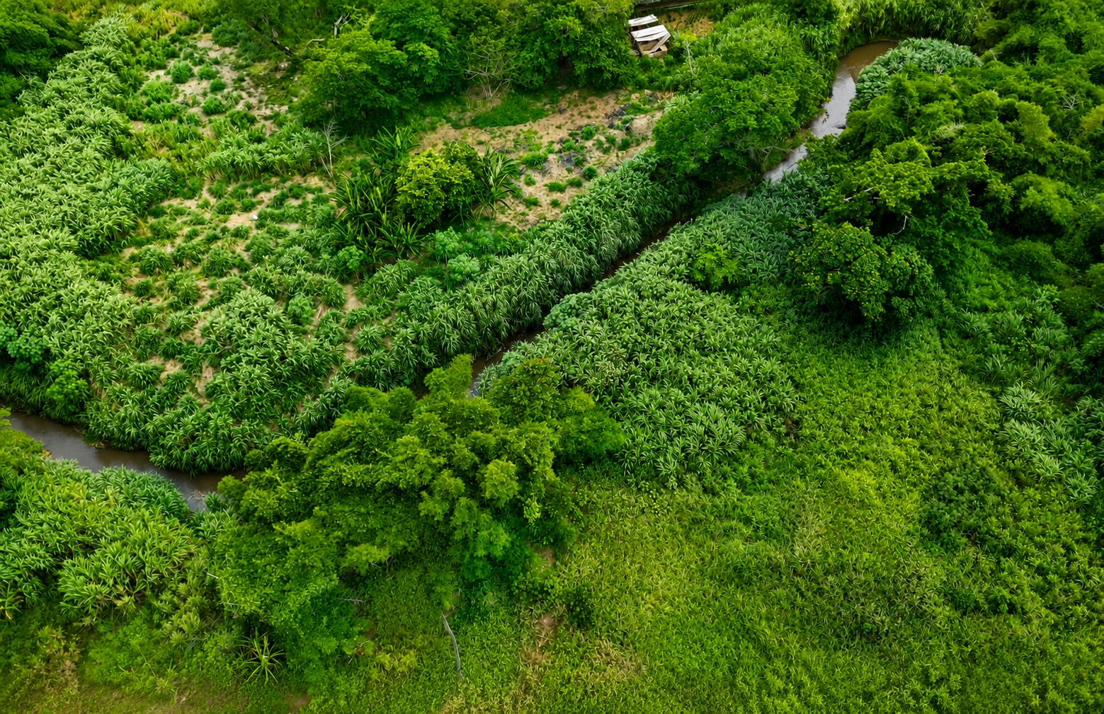 Second image of Bushy Park St. Catherine in Bushy Park, St. Catherine, Jamaica - property is For Sale