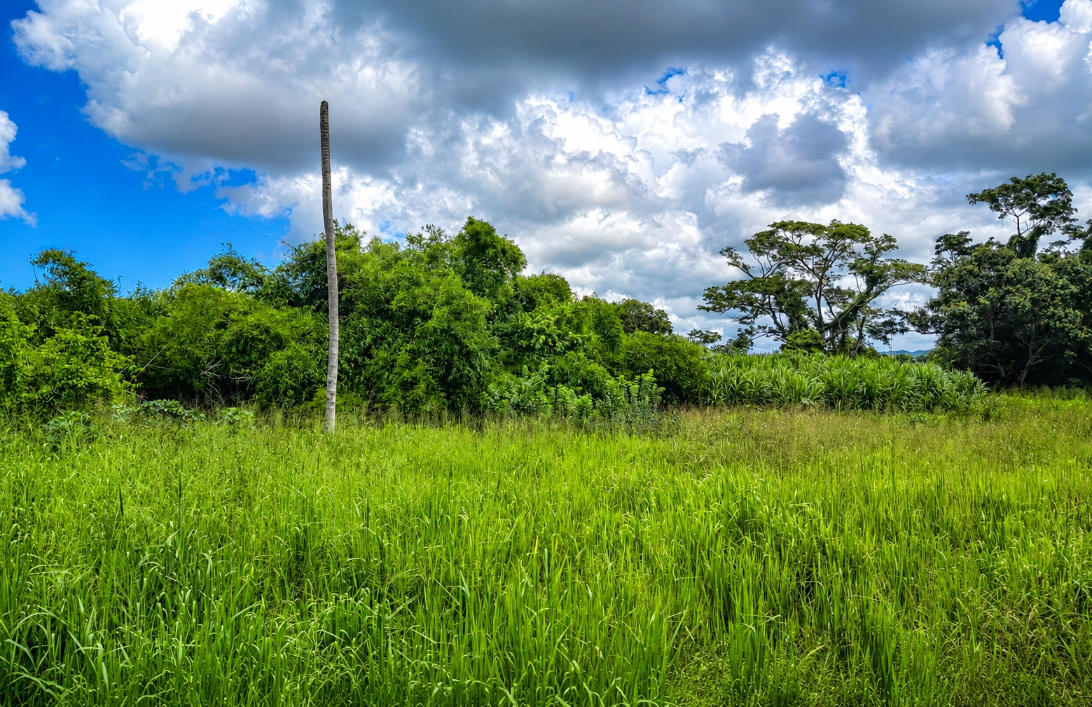 Third image of Bushy Park St. Catherine in Bushy Park, St. Catherine, Jamaica - property is For Sale