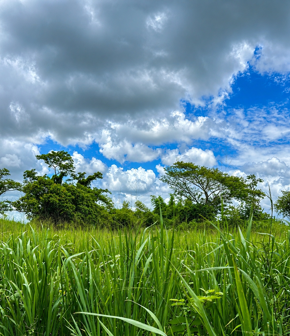 Fourth image of Bushy Park St. Catherine in Bushy Park, St. Catherine, Jamaica - property is For Sale