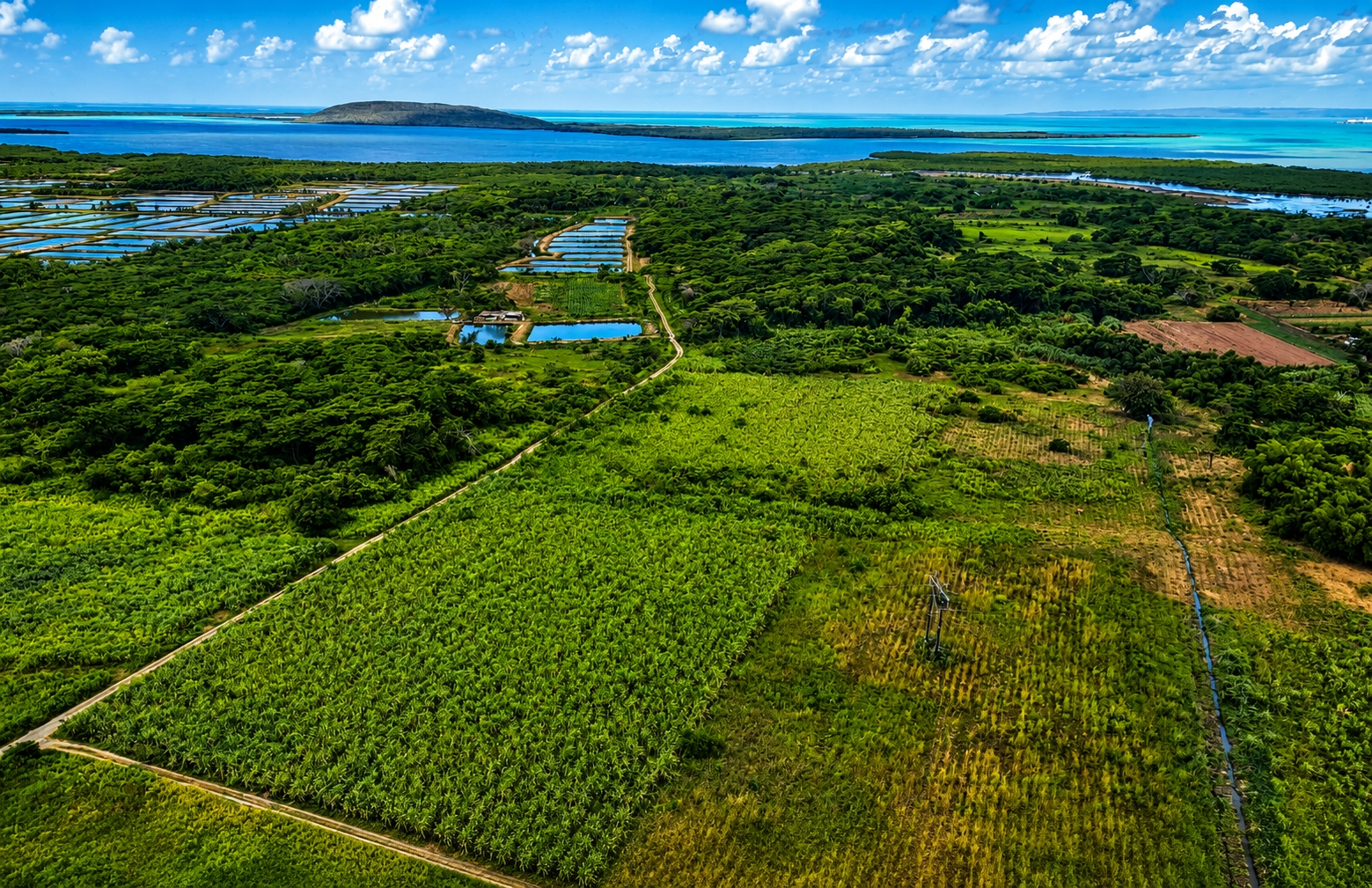 Eighth image of Bushy Park St. Catherine in Bushy Park, St. Catherine, Jamaica - property is For Sale