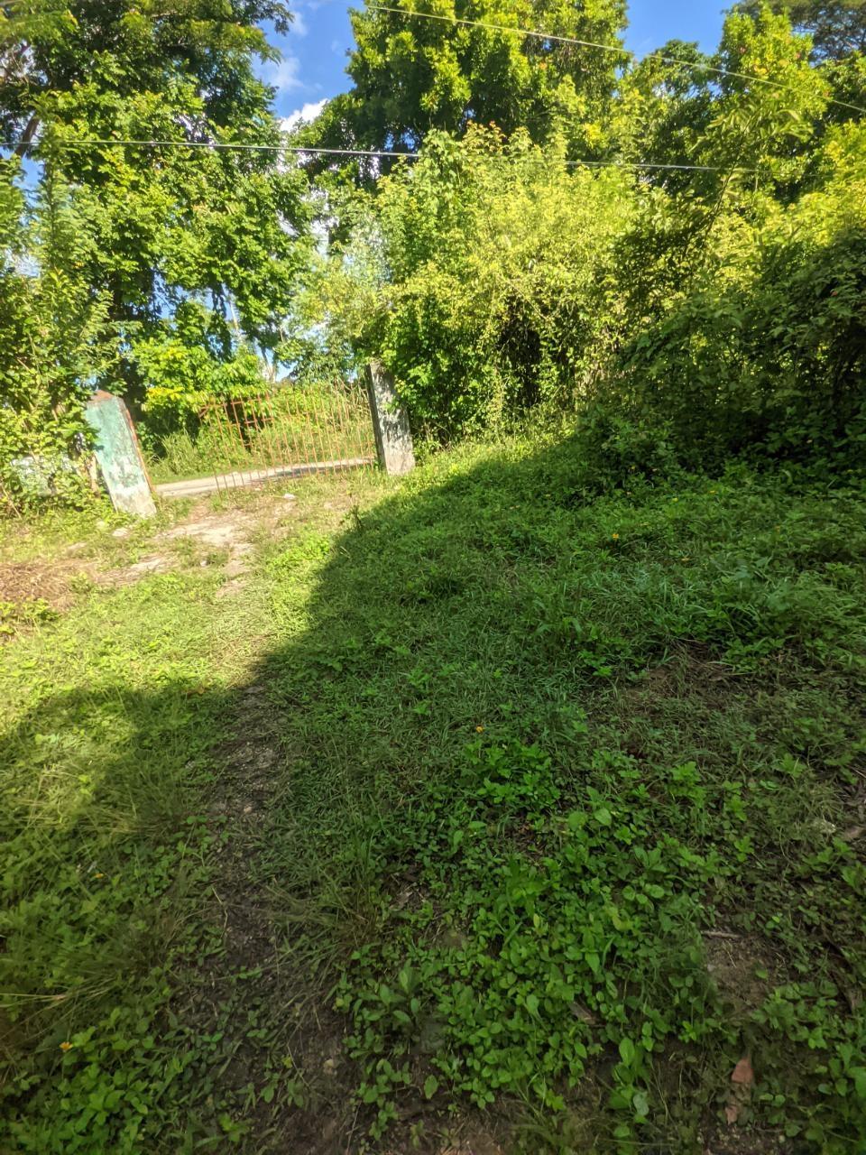First image of Oxford Estate, Brimmer ha in Free Hill, St. Mary, Jamaica - property is For Sale