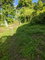 First image of Oxford Estate, Brimmer ha in Free Hill, St. Mary, Jamaica - property is For Sale