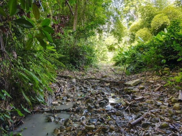 Eleventh image of Oxford Estate, Brimmer ha in Free Hill, St. Mary, Jamaica - property is For Sale
