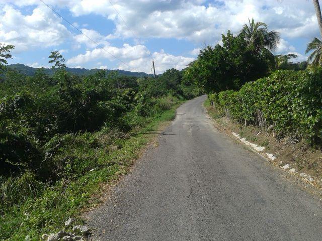 Fourteenth image of Oxford Estate, Brimmer ha in Free Hill, St. Mary, Jamaica - property is For Sale