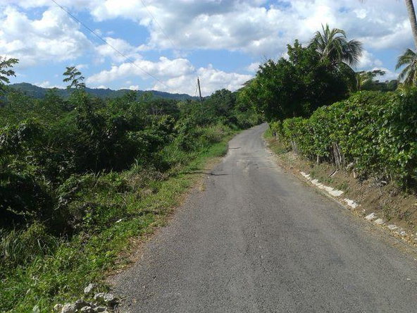 Fourteenth image of Oxford Estate, Brimmer ha in Free Hill, St. Mary, Jamaica - property is For Sale