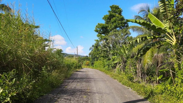 Fifteenth image of Oxford Estate, Brimmer ha in Free Hill, St. Mary, Jamaica - property is For Sale