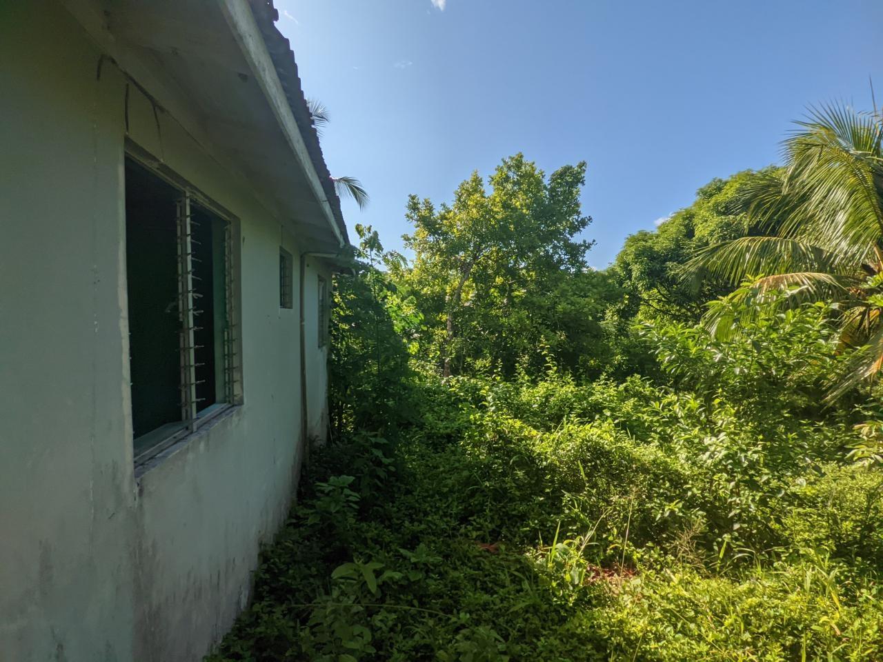 Third image of Oxford Estate, Brimmer ha in Free Hill, St. Mary, Jamaica - property is For Sale