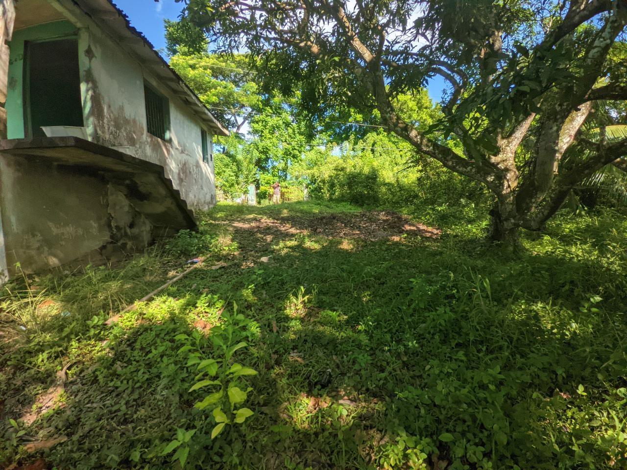 Fourth image of Oxford Estate, Brimmer ha in Free Hill, St. Mary, Jamaica - property is For Sale