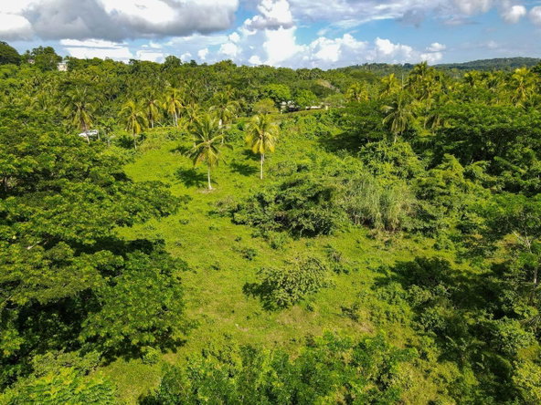 Fifth image of Oxford Estate, Brimmer ha in Free Hill, St. Mary, Jamaica - property is For Sale