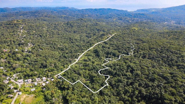 Eighth image of Oxford Estate, Brimmer ha in Free Hill, St. Mary, Jamaica - property is For Sale