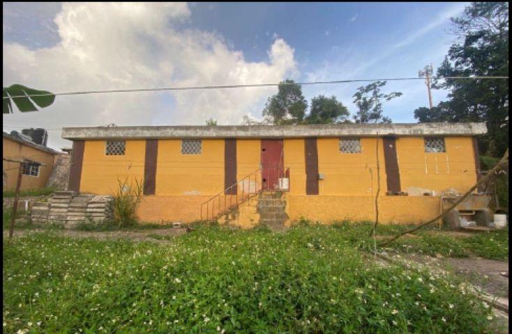 Fifth image of Cedargrove-knock Patr Manchester in Knockpatrick, Manchester, Jamaica - property is For Sale