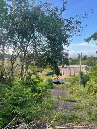 First image of Mango Valley Road in Boscobel, St. Mary, Jamaica - property is For Sale