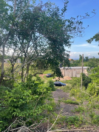 First image of Mango Valley Road in Boscobel, St. Mary, Jamaica - property is For Sale