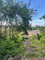 First image of Mango Valley Road in Boscobel, St. Mary, Jamaica - property is For Sale