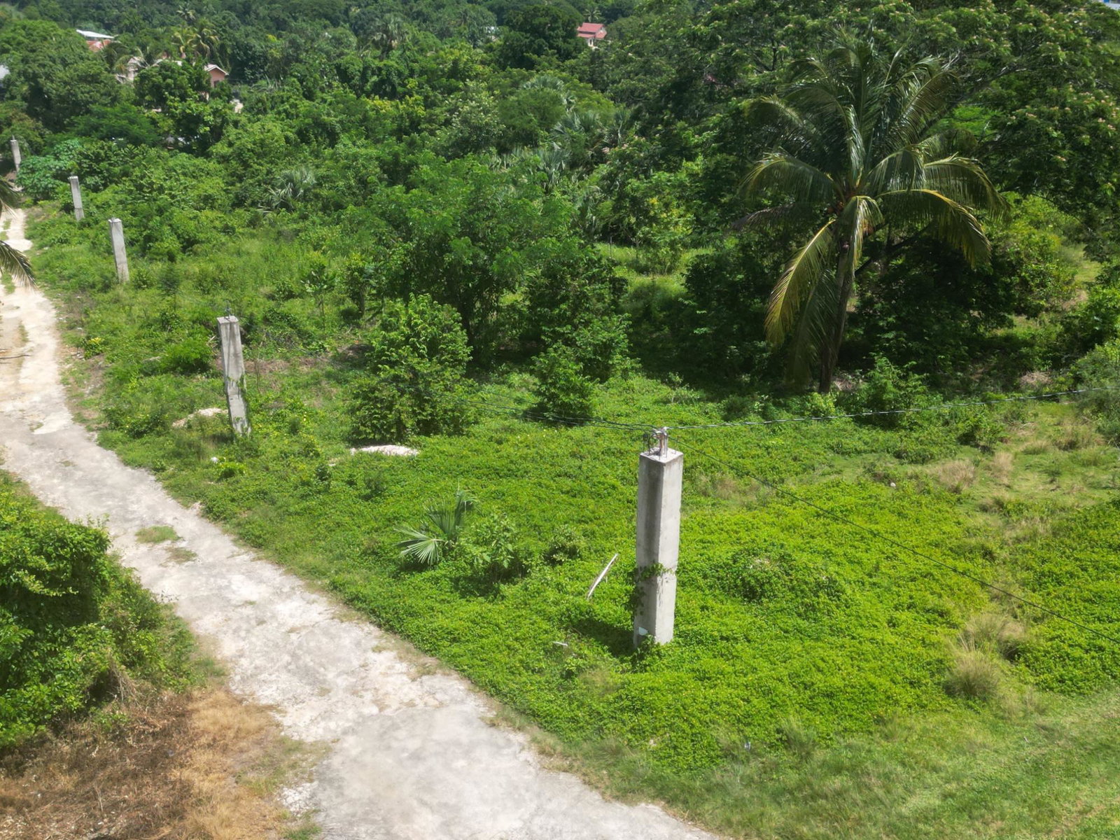 Sixth image of Burnt Ground, Santa Cruz in Burnt Ground, St. Elizabeth, Jamaica - property is For Sale