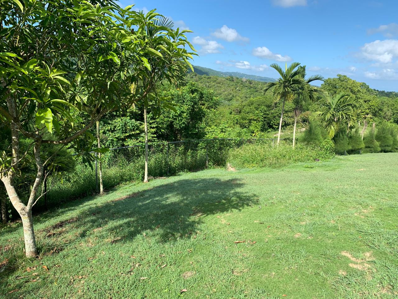 Twenty-First image of Fairfield/johns Hall Main in Montego Bay, St. James, Jamaica - property is For Sale
