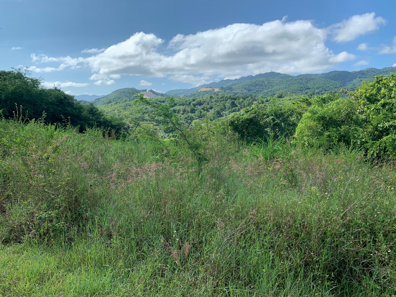 Twenty-Ninth image of Fairfield/johns Hall Main in Montego Bay, St. James, Jamaica - property is For Sale