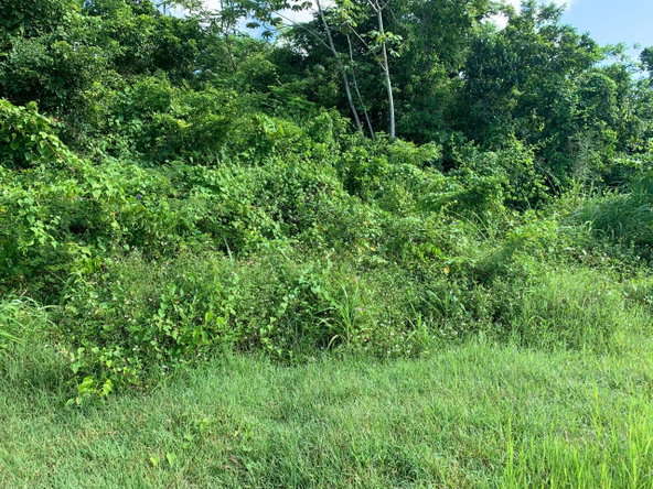 Thirtieth image of Fairfield/johns Hall Main in Montego Bay, St. James, Jamaica - property is For Sale