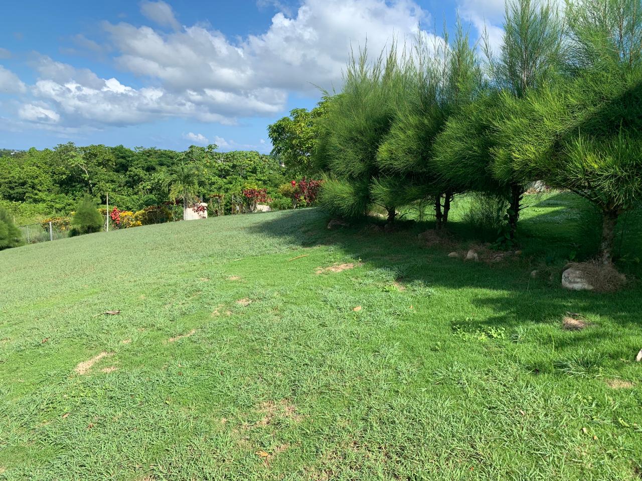Ninth image of Fairfield/johns Hall Main in Montego Bay, St. James, Jamaica - property is For Sale