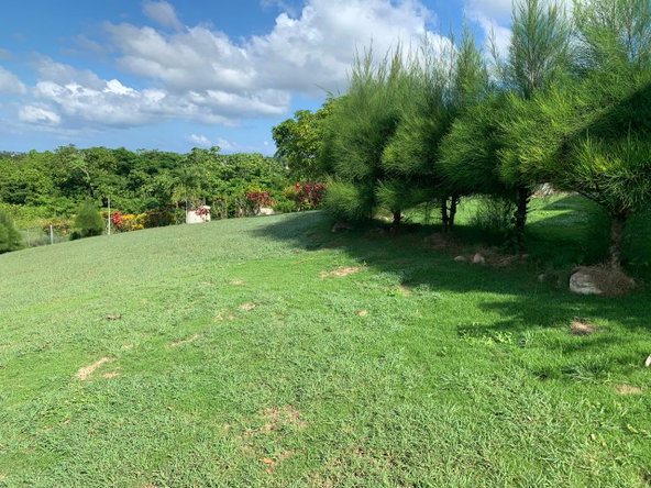 Ninth image of Fairfield/johns Hall Main in Montego Bay, St. James, Jamaica - property is For Sale