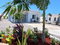 First image of 125- Coral Spring Estate in Coral Spring, Trelawny, Jamaica - property is For Rent