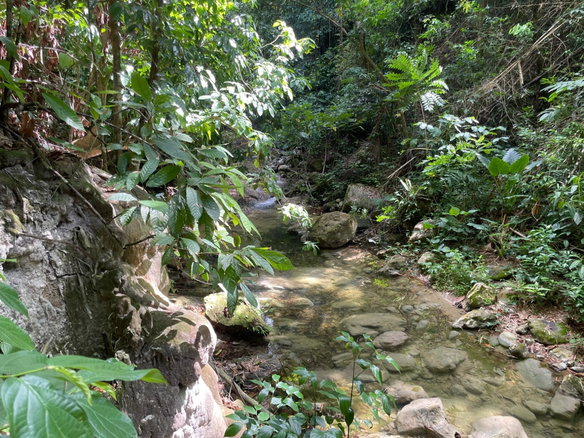 First image of Lot No. 89- New Ground, Lime Hall, st in Lime Hall, St. Ann, Jamaica - property is For Sale