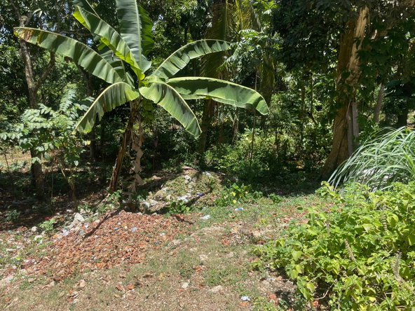 Tenth image of Lot 207- New Ground, Lime Hall, st in Lime Hall, St. Ann, Jamaica - property is For Sale