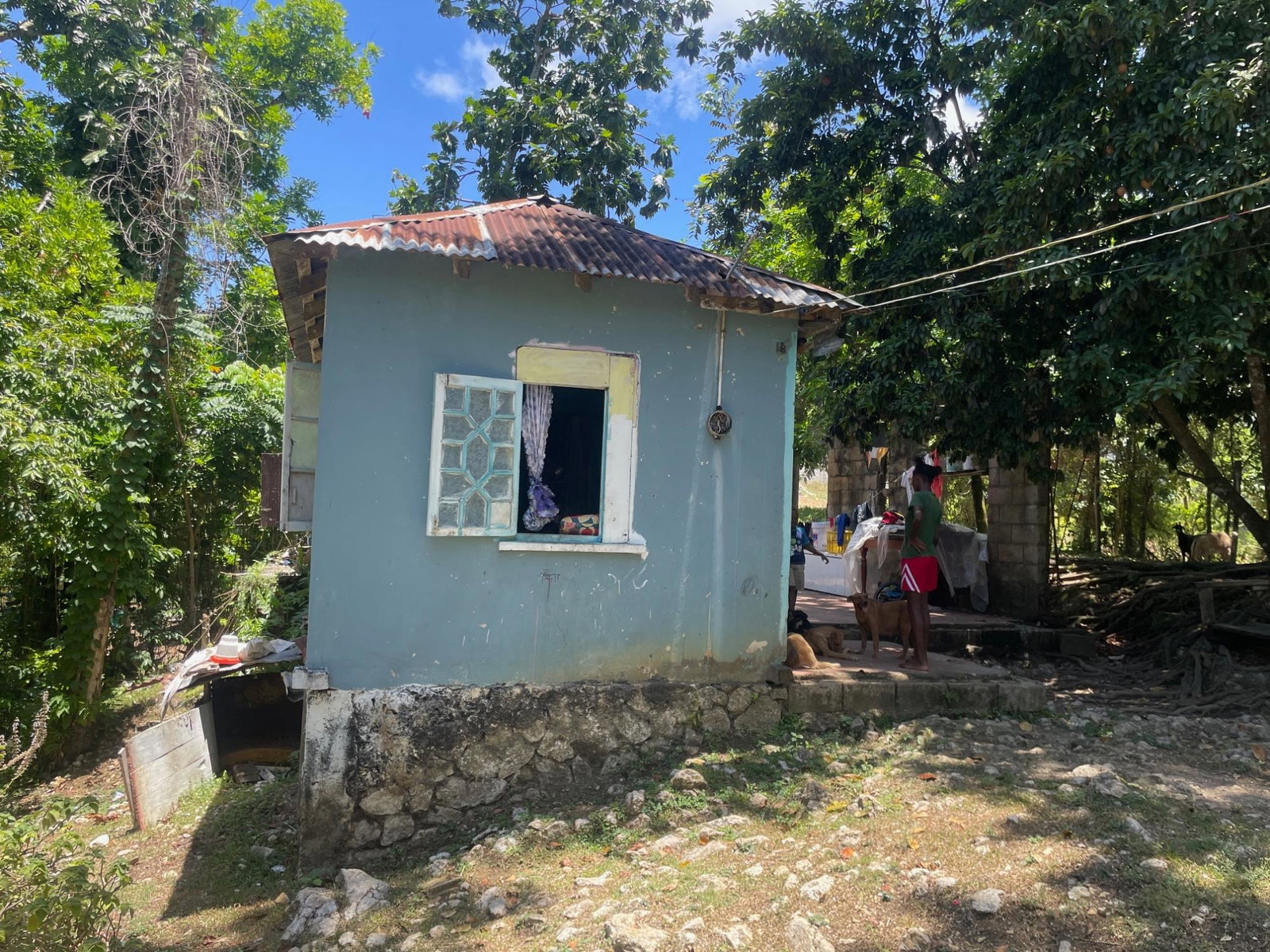 Thirteenth image of Lot 207- New Ground, Lime Hall, st in Lime Hall, St. Ann, Jamaica - property is For Sale