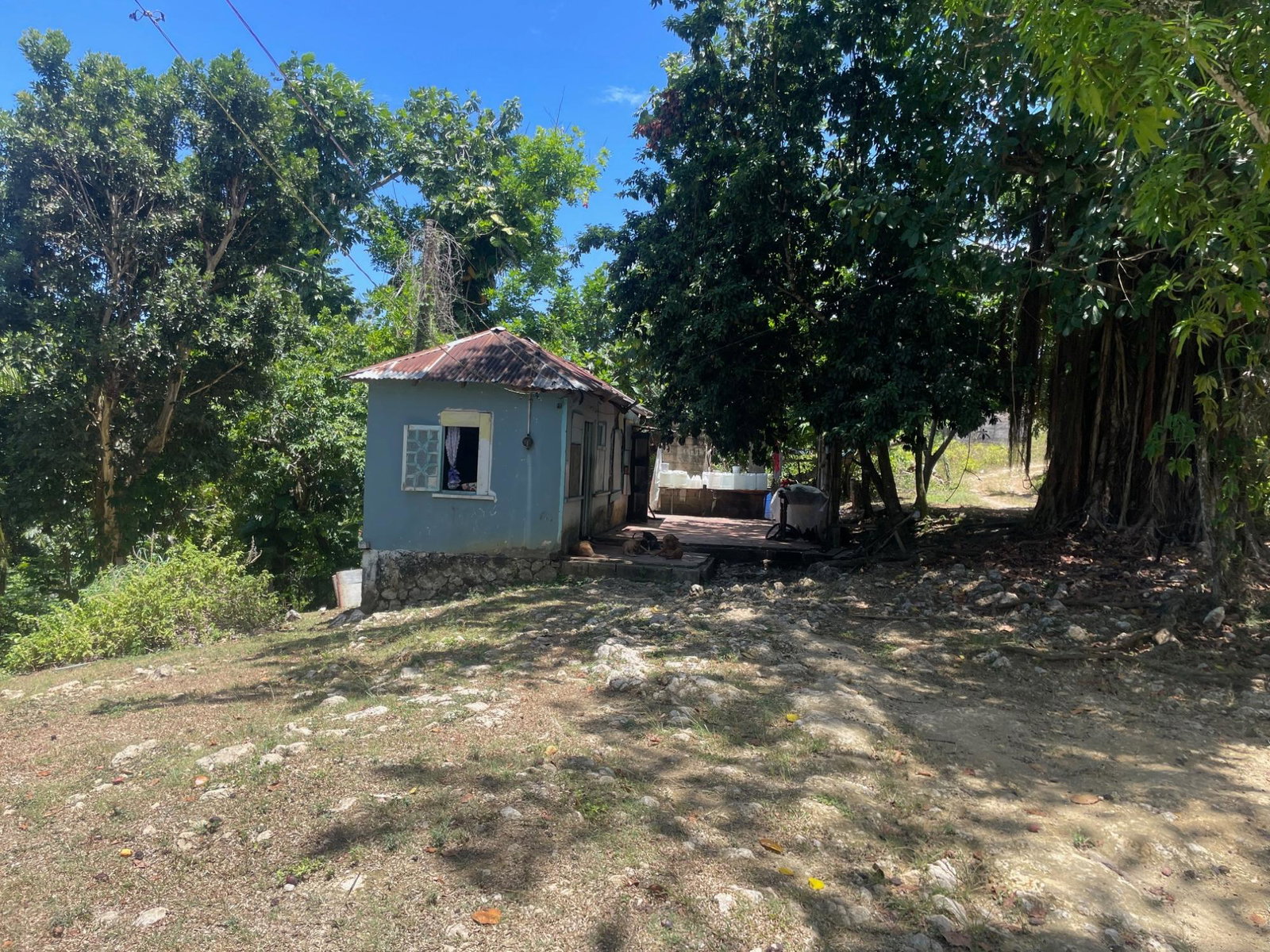 Fifteenth image of Lot 207- New Ground, Lime Hall, st in Lime Hall, St. Ann, Jamaica - property is For Sale