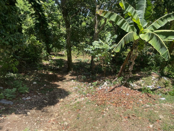 Second image of Lot 207- New Ground, Lime Hall, st in Lime Hall, St. Ann, Jamaica - property is For Sale