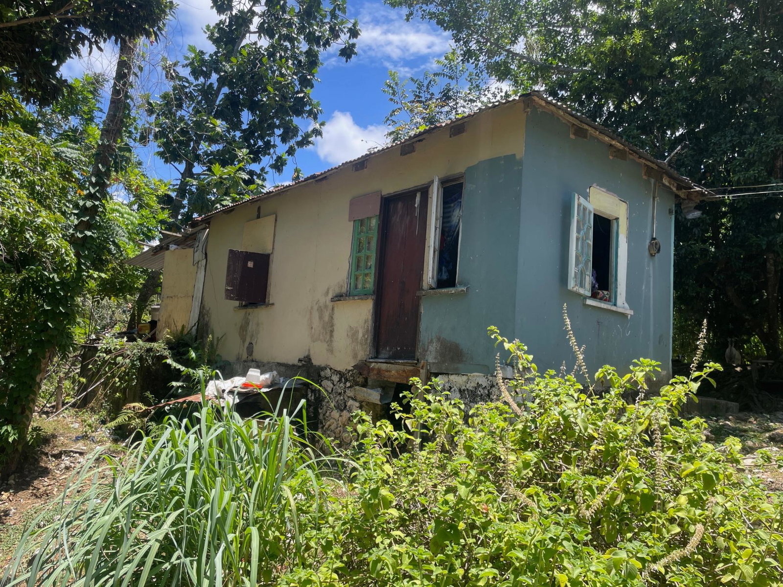 Twentieth image of Lot 207- New Ground, Lime Hall, st in Lime Hall, St. Ann, Jamaica - property is For Sale