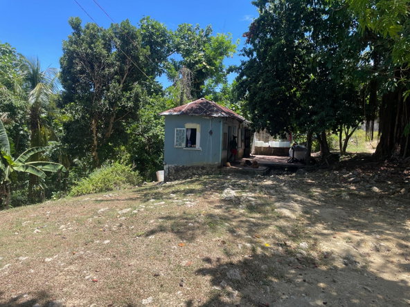 Twenty-Second image of Lot 207- New Ground, Lime Hall, st in Lime Hall, St. Ann, Jamaica - property is For Sale