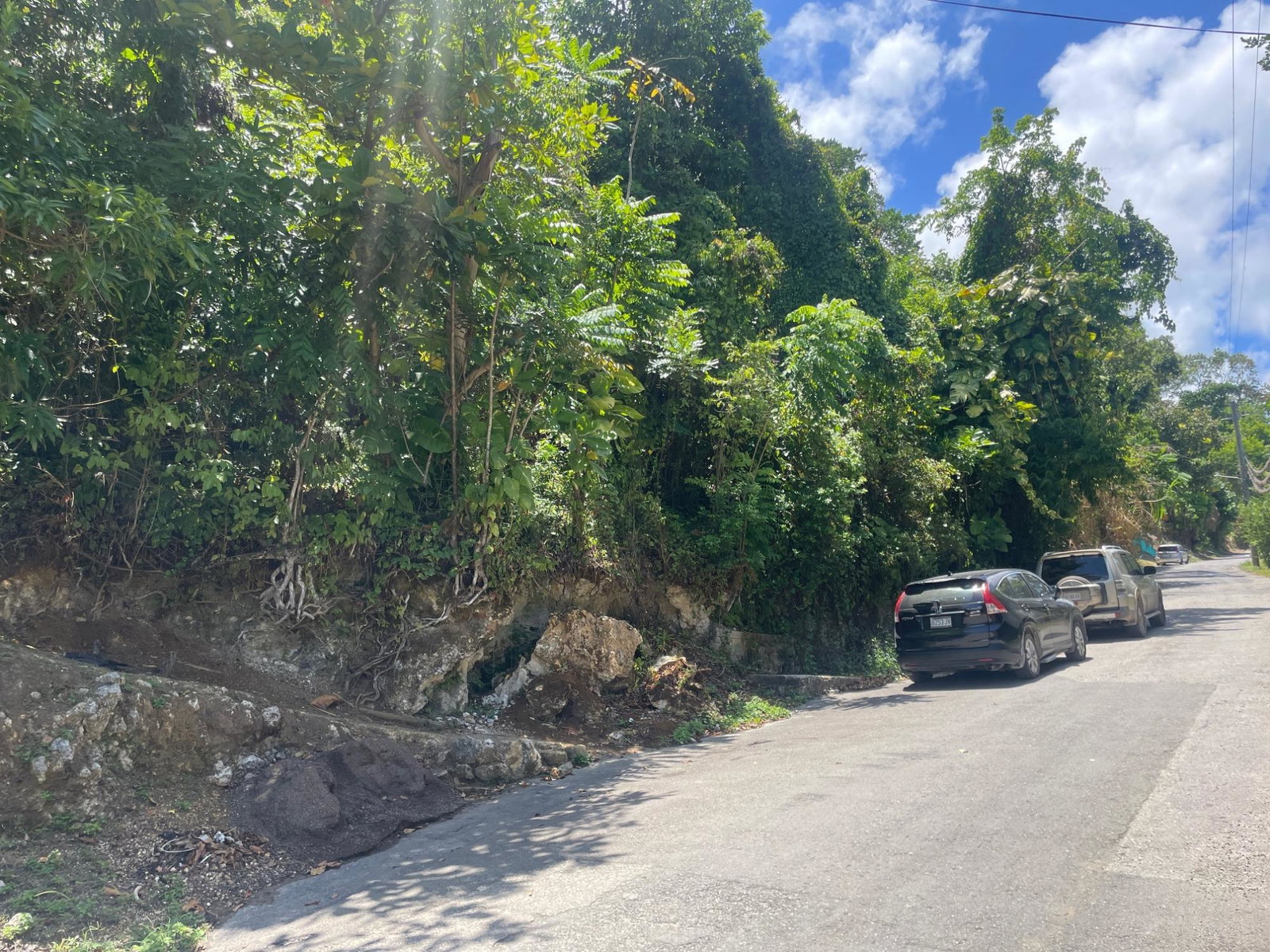Twenty-Fourth image of Lot 207- New Ground, Lime Hall, st in Lime Hall, St. Ann, Jamaica - property is For Sale