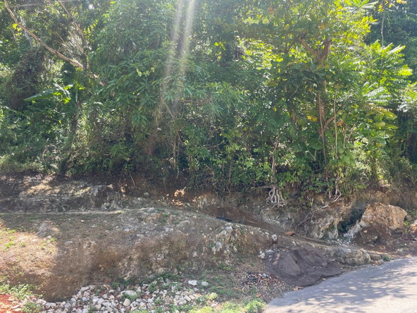 Twenty-Fifth image of Lot 207- New Ground, Lime Hall, st in Lime Hall, St. Ann, Jamaica - property is For Sale