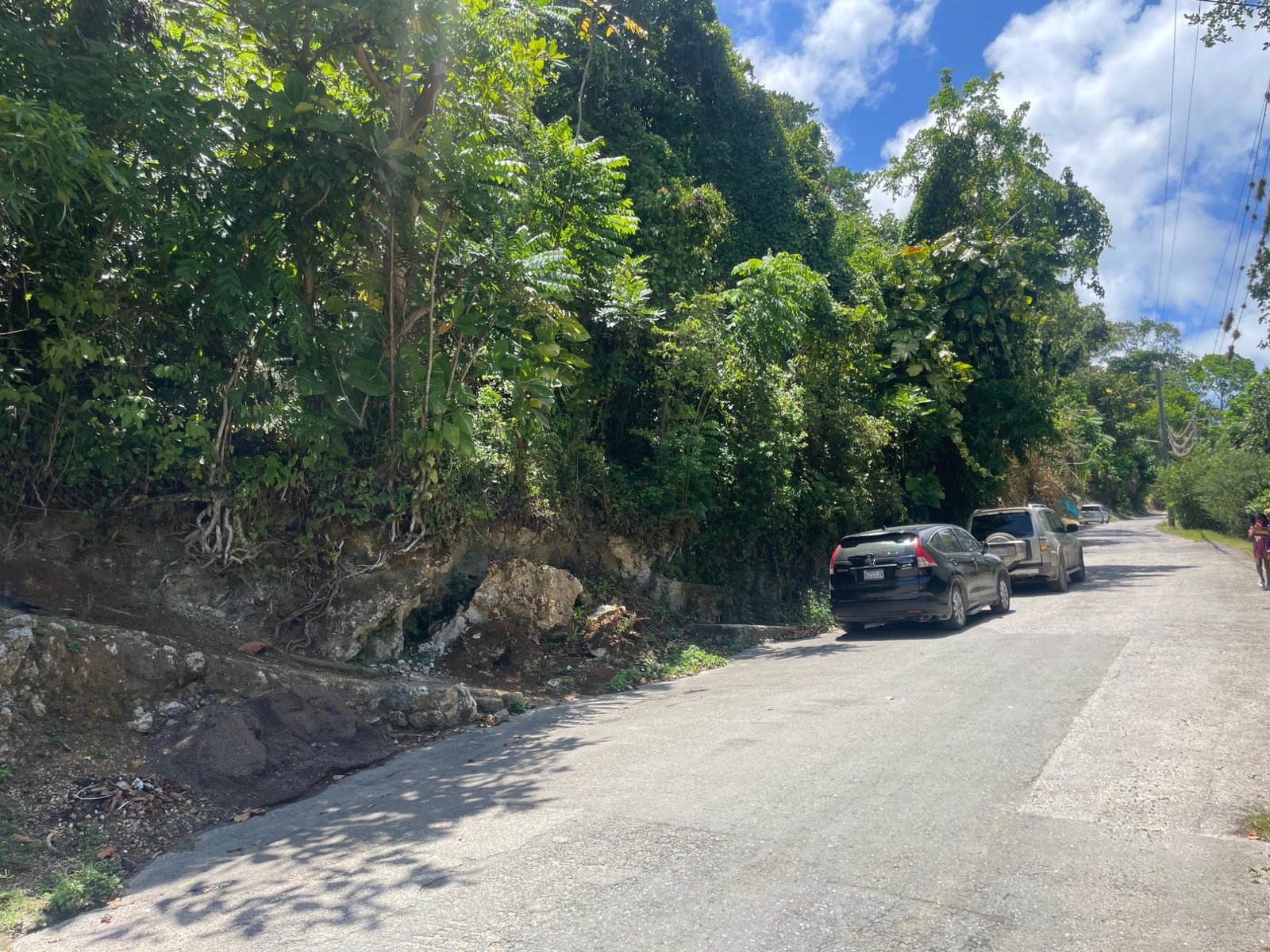 Twenty-Sixth image of Lot 207- New Ground, Lime Hall, st in Lime Hall, St. Ann, Jamaica - property is For Sale