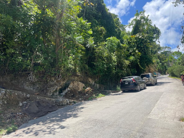 Twenty-Sixth image of Lot 207- New Ground, Lime Hall, st in Lime Hall, St. Ann, Jamaica - property is For Sale