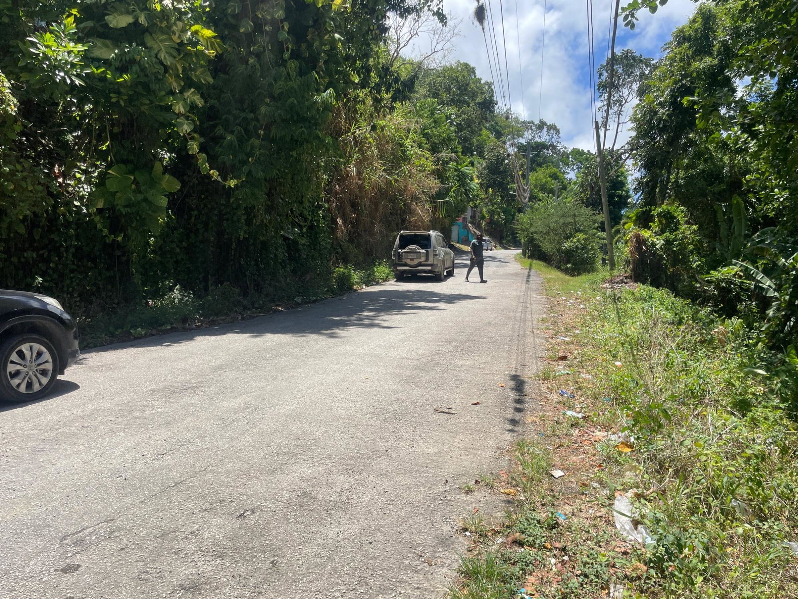 Twenty-Seventh image of Lot 207- New Ground, Lime Hall, st in Lime Hall, St. Ann, Jamaica - property is For Sale
