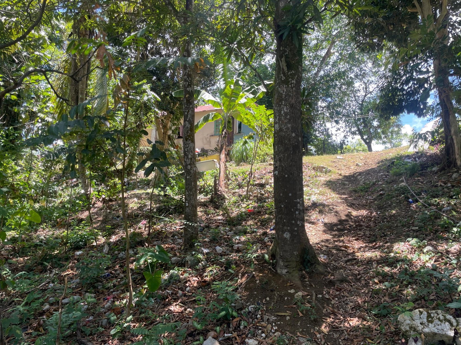 Fourth image of Lot 207- New Ground, Lime Hall, st in Lime Hall, St. Ann, Jamaica - property is For Sale