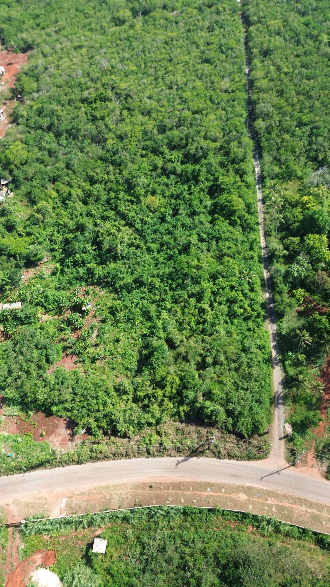 Fifth image of 30 Bellvue Spanish Town in Bellevue, St. Catherine, Jamaica - property is For Sale