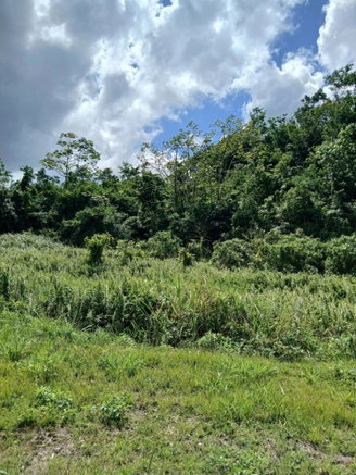 First image of Jews Pen in Linstead, St. Catherine, Jamaica - property is For Sale