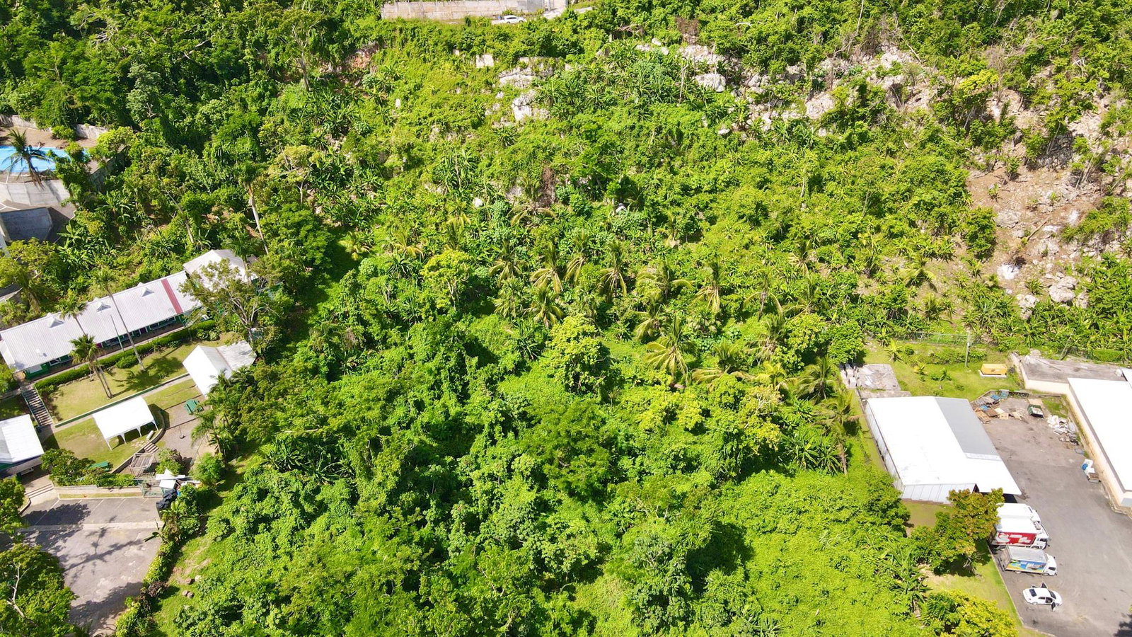 Eleventh image of D2- Elysian, Spring Garden in Spring Garden, St. James, Jamaica - property is For Sale