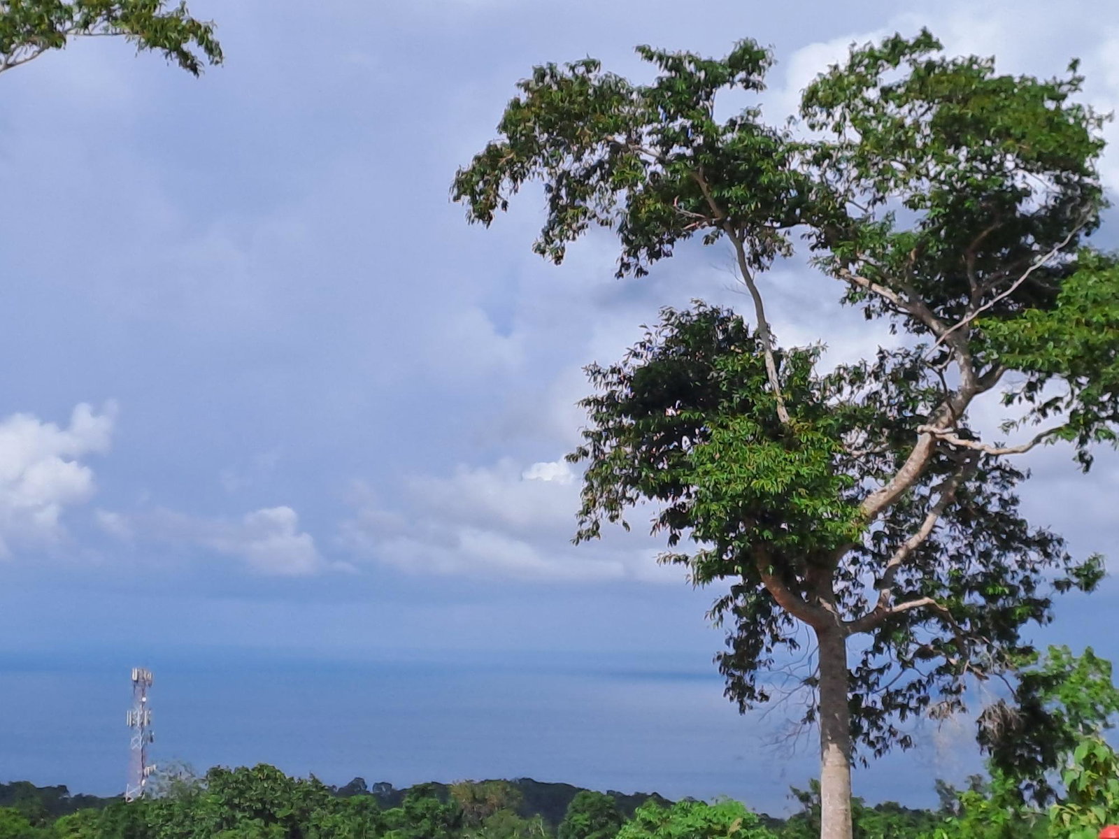 Third image of Lot 5 Three Hills in Three Hills, St. Mary, Jamaica - property is For Sale