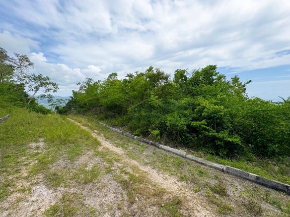 First image of Lot 24, Huddersfield, St. in Huddersfield Heights, St. Mary, Jamaica - property is For Sale