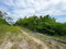 First image of Lot 24, Huddersfield, St. in Huddersfield Heights, St. Mary, Jamaica - property is For Sale