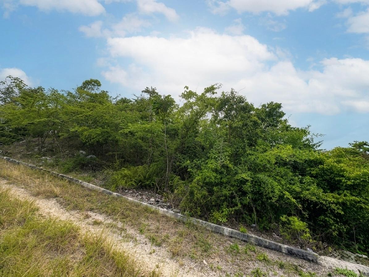 Second image of Lot 24, Huddersfield, St. in Huddersfield Heights, St. Mary, Jamaica - property is For Sale