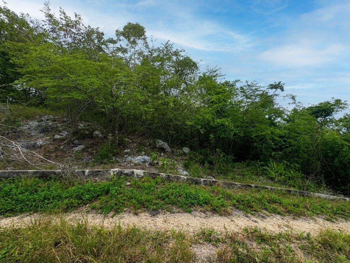 Fourth image of Lot 24, Huddersfield, St. in Huddersfield Heights, St. Mary, Jamaica - property is For Sale