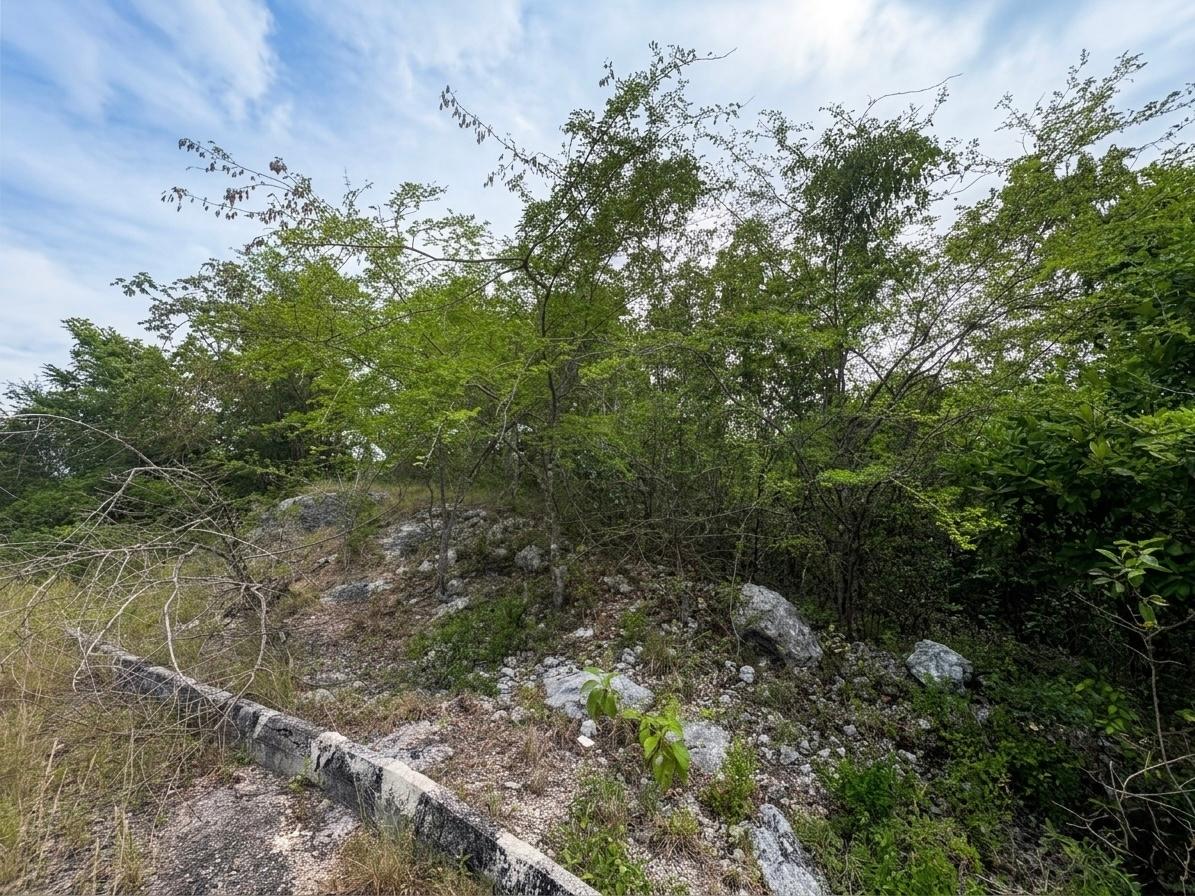 Sixth image of Lot 24, Huddersfield, St. in Huddersfield Heights, St. Mary, Jamaica - property is For Sale