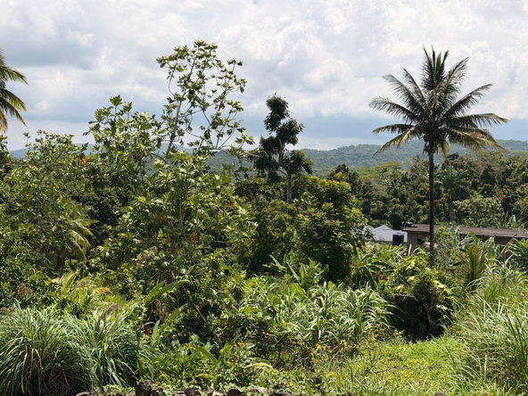 Twentieth image of Lyndale, Highgate in Highgate, St. Mary, Jamaica - property is For Sale